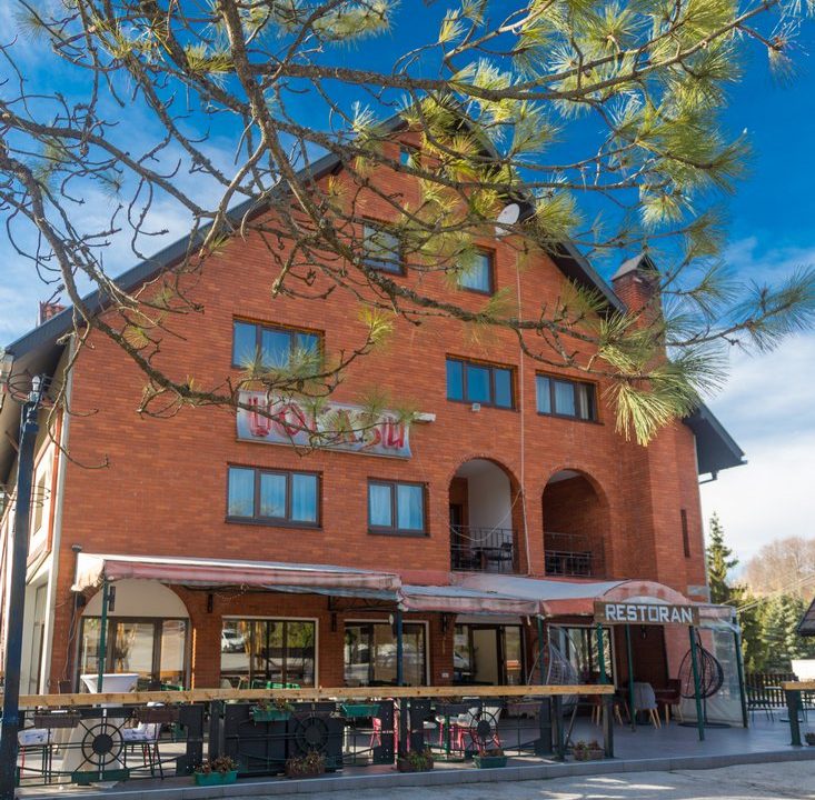 vila-planina-tara-sobe-apartmani-kaludjerske-bare (310)