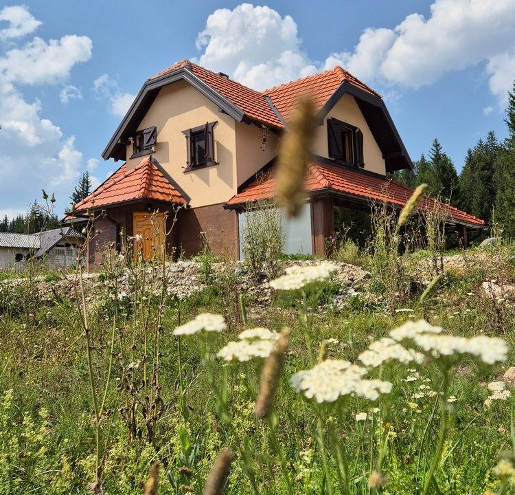 vila-dimitrijević-tara-smeštaj-sekulić-4