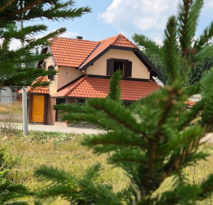 vila-dimitrijević-tara-smeštaj-sekulić-7