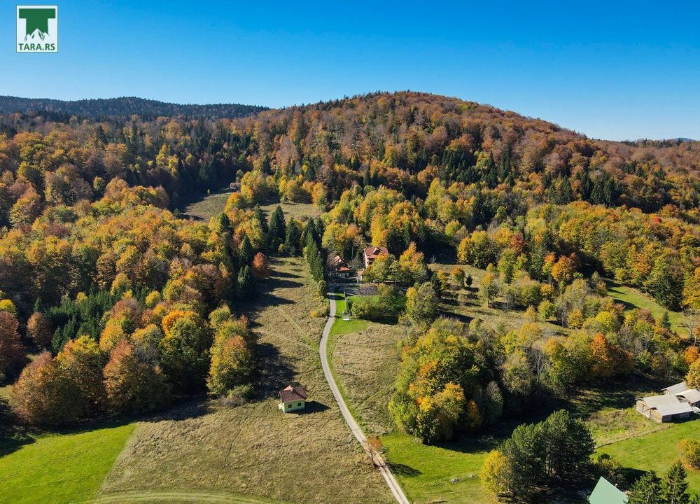 pogled-sa-vrha-i-spa-planina-tara-smeštaj-8