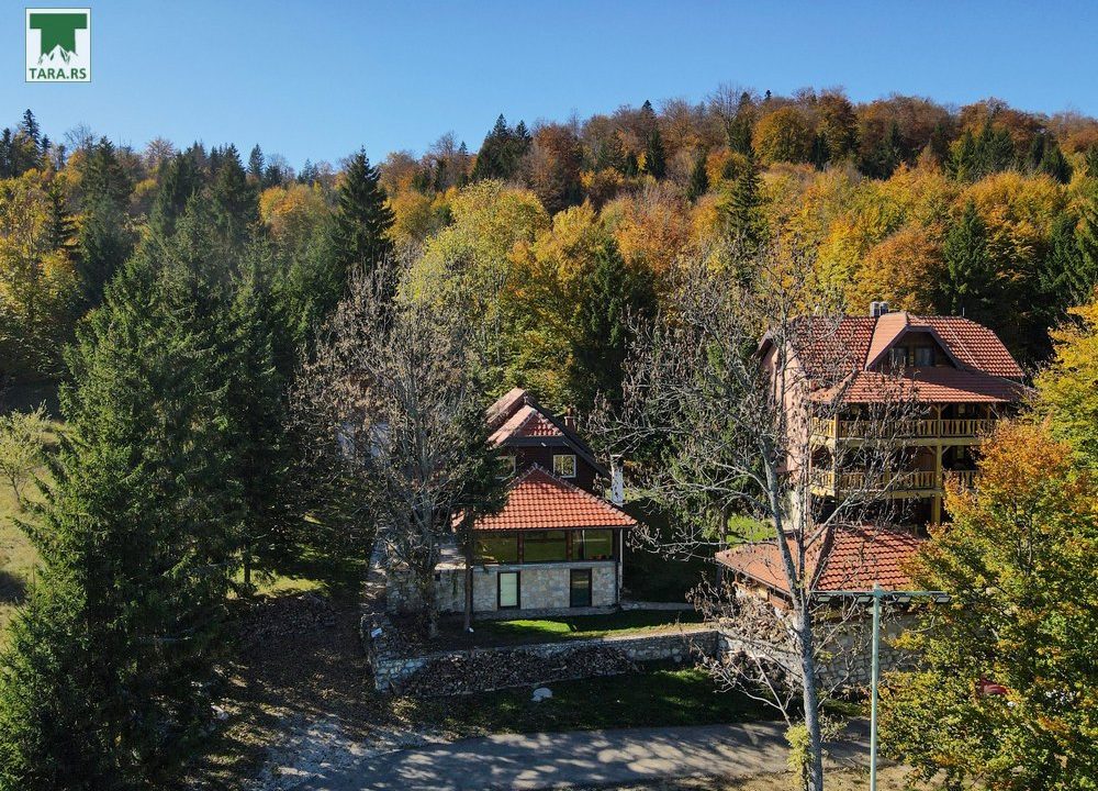 pogled-sa-vrha-i-spa-planina-tara-smeštaj-9