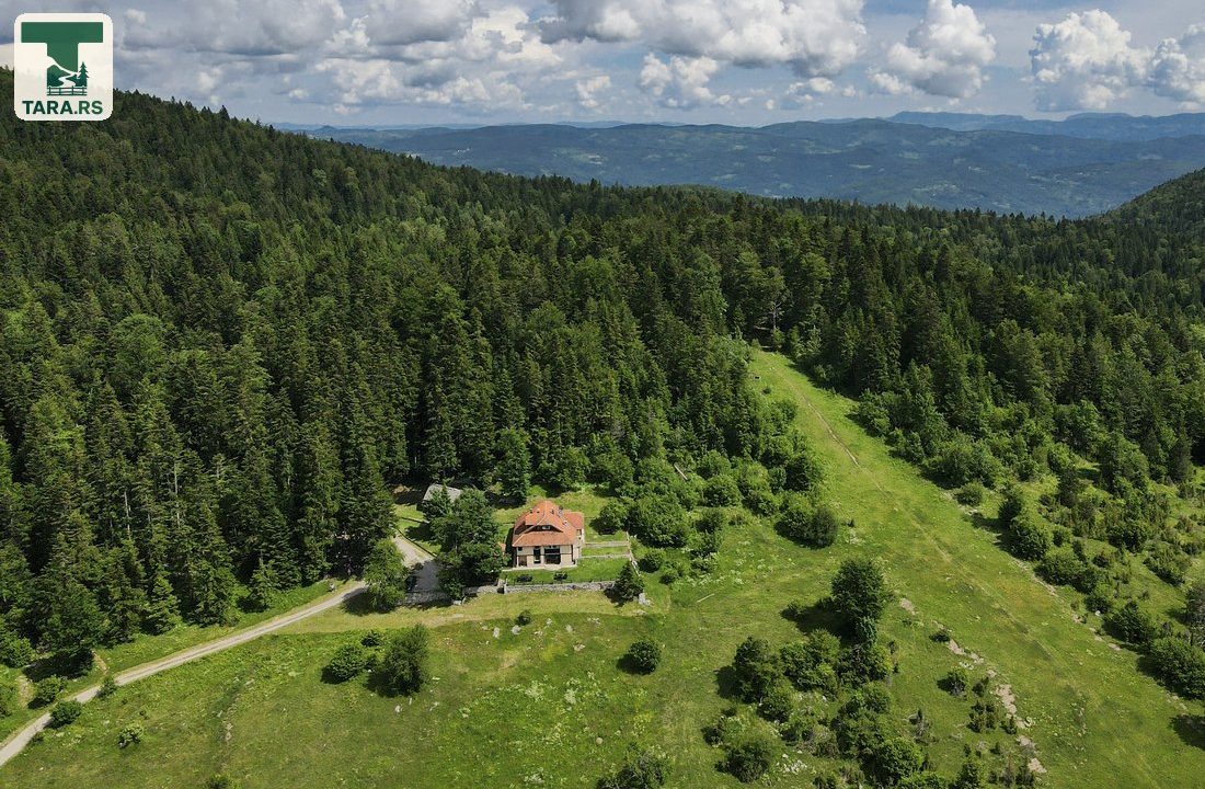 15-dji_fly_20240605_102538_785_1717576281945_photo