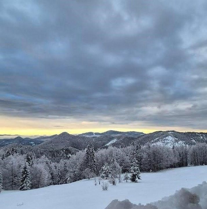 apartman-planinski-izvor-mokra-gora-tara-1