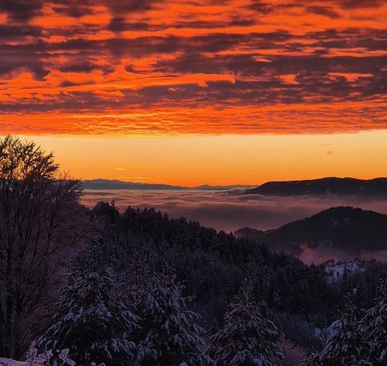 apartman-planinski-izvor-mokra-gora-tara-5