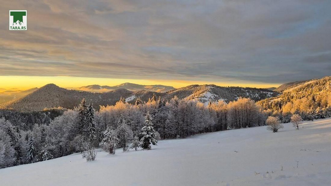 apartman-planinski-izvor-mokra-gora-tara-6