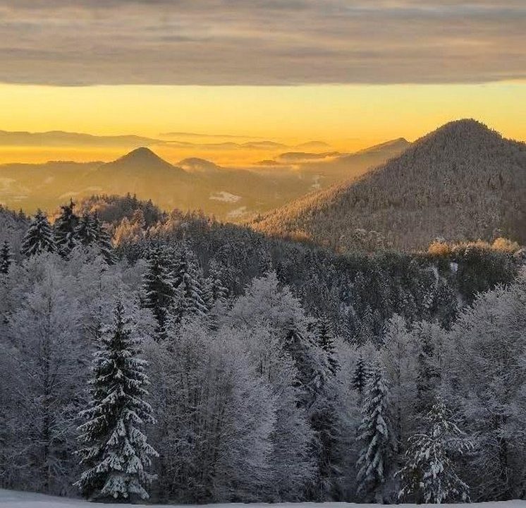 apartman-planinski-izvor-mokra-gora-tara-7