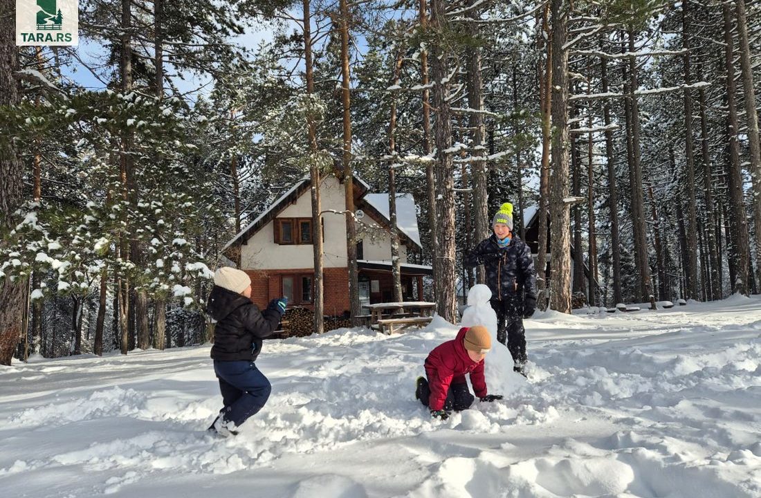 rustic-home-tara-smeštaj-odmor-1
