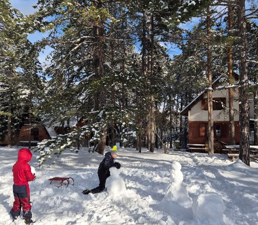rustic-home-tara-smeštaj-odmor-10