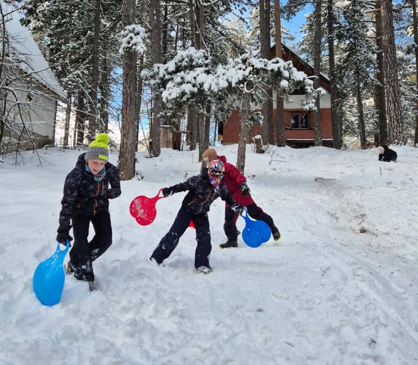 rustic-home-tara-smeštaj-odmor-6