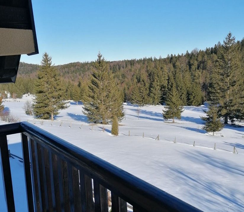 vila milija apartmani planina tara smeštaj (10)