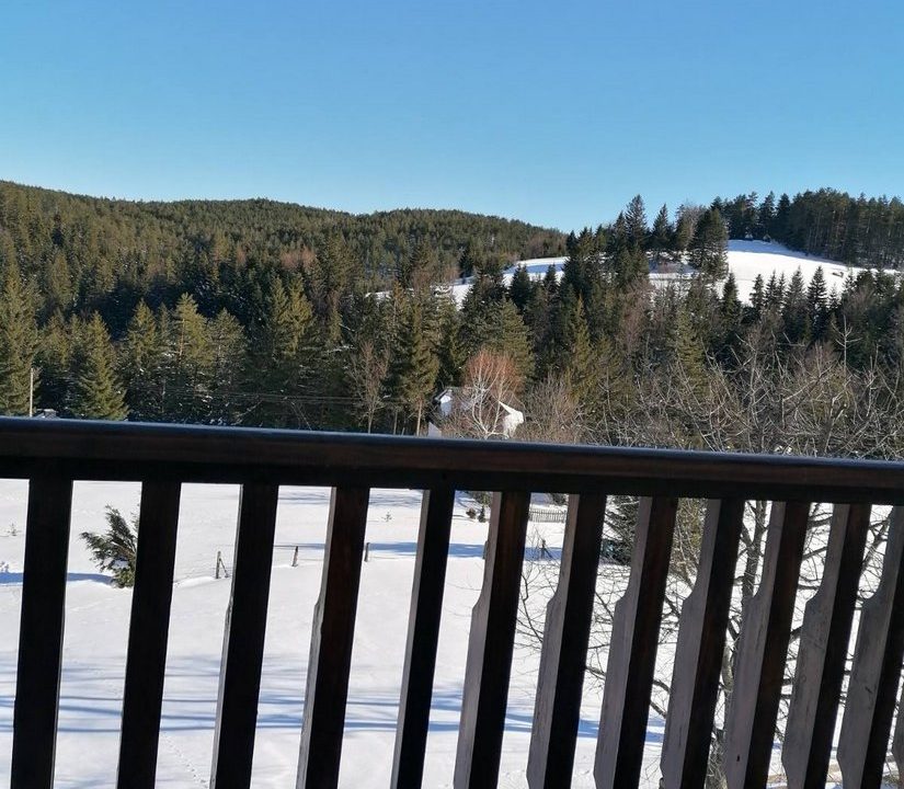 vila milija apartmani planina tara smeštaj (11)