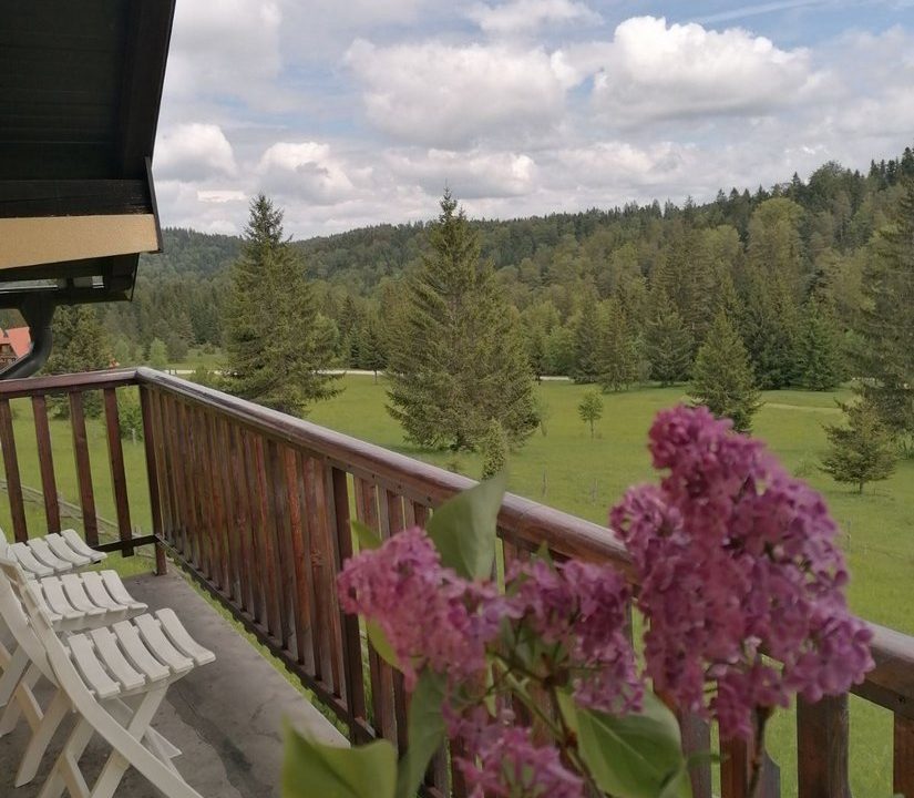 vila milija apartmani planina tara smeštaj (4)