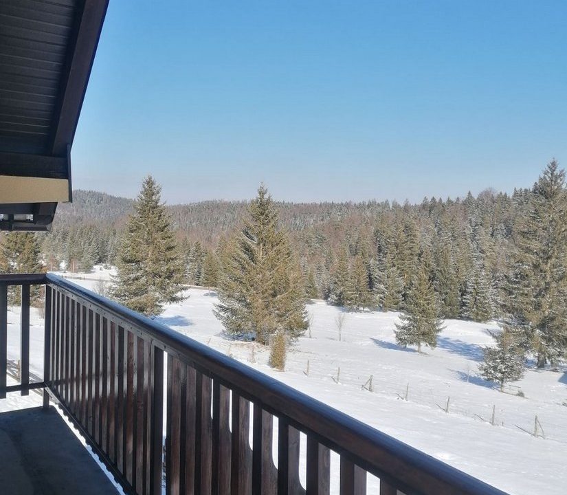 vila milija apartmani planina tara smeštaj (8)