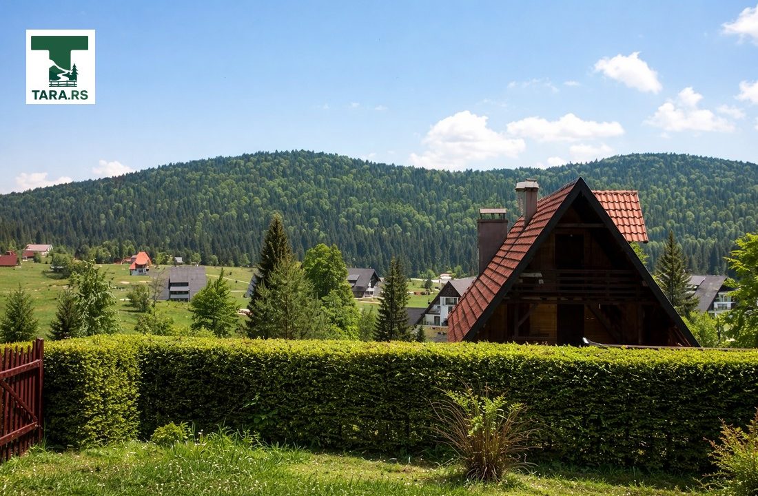 vila mitrovac tara smeštaj 2026 (2)