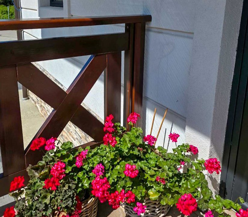 Apartmani Gorski Planina Tara smeštaj 2026 Kaluđerske Bare (31)