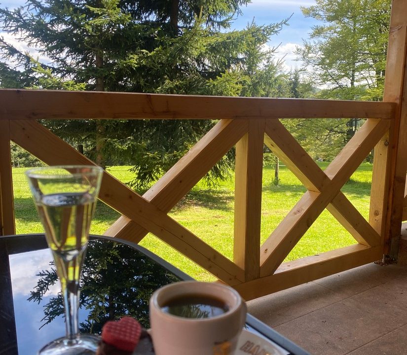 vila-pavle-planina-tara-lux-smeštaj-sekulić (10)