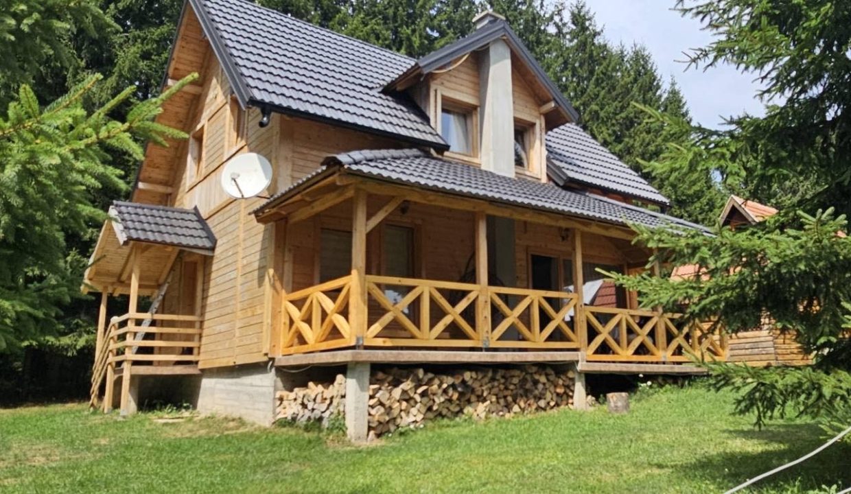 vila-pavle-planina-tara-lux-smeštaj-sekulić (8)