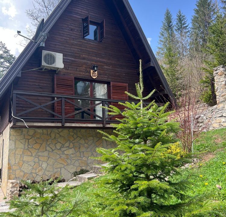 vila-car-planina-tara-smestaj-3