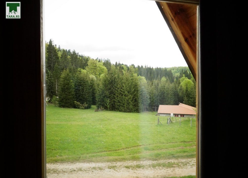 brvnara-panda-planina-tara-smeštaj-27