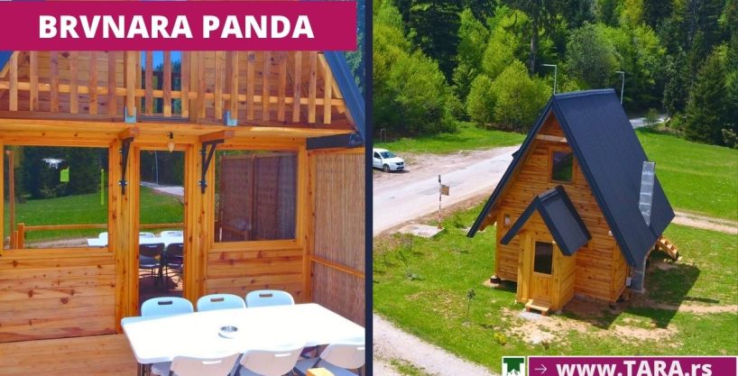 BRVNARA PANDA