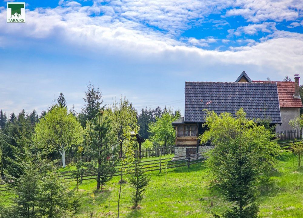 vikendica-marić-smeštaj-zaovine-planina-tara-5