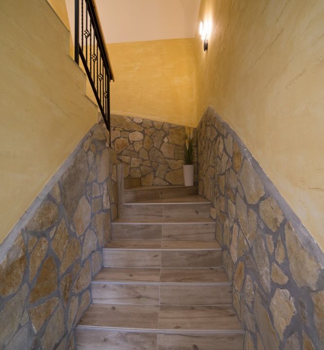 Apartmani-Crni-Bor-Tara-Kaludjerske-Bare-16