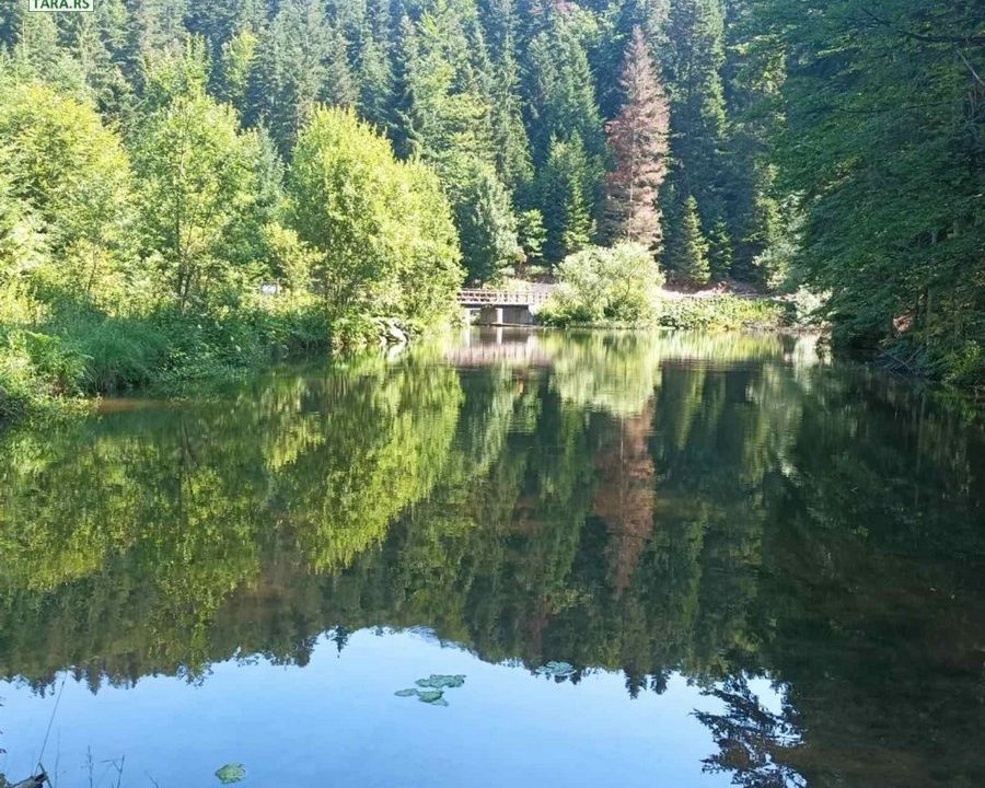 apartmani-zelena-jela-smeštaj-na-tari-14