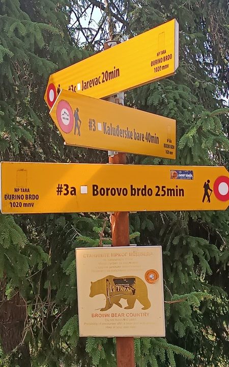 brvnara-tarski.proplanak-smeštaj-tara-1 (36)