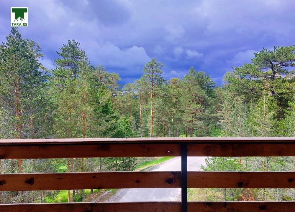 tara-apartman-naša-priča-8
