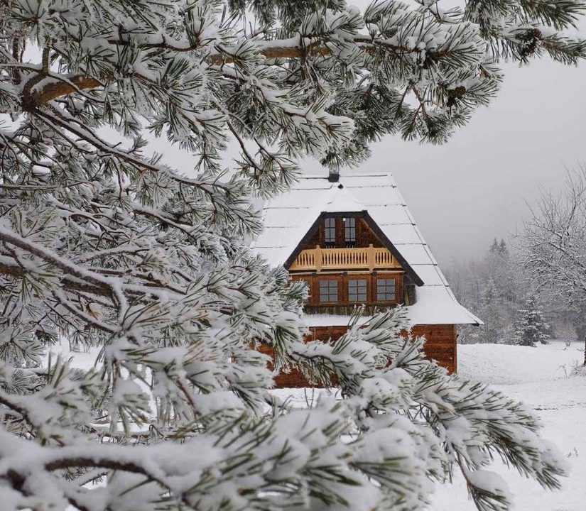 apartman-planinski-izvor-tara-mokra-gora-34