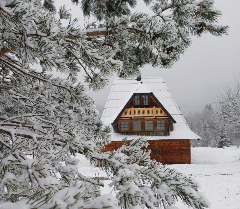 apartman-planinski-izvor-tara-mokra-gora-4