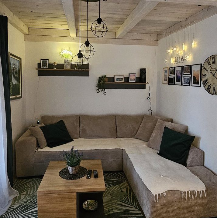 brvnara-marinkovic-tara-smeštaj-sekulic-14