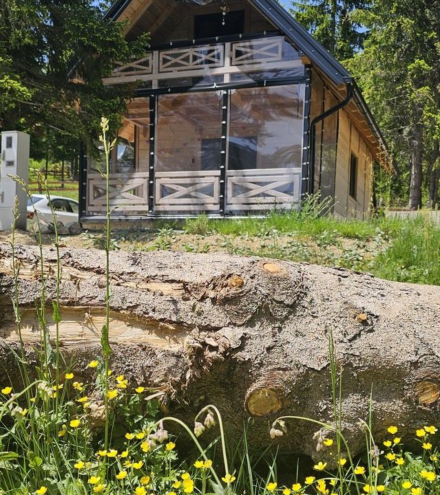 brvnara-marinkovic-tara-smeštaj-sekulic-2