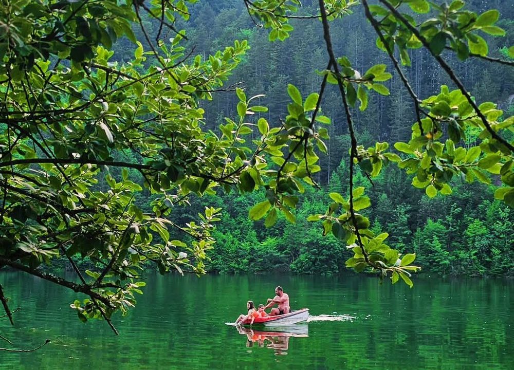 brvnara-marinkovic-tara-smeštaj-sekulic-33