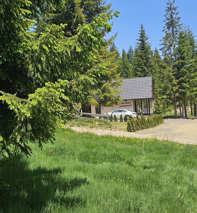 brvnara-marinkovic-tara-smeštaj-sekulic-7