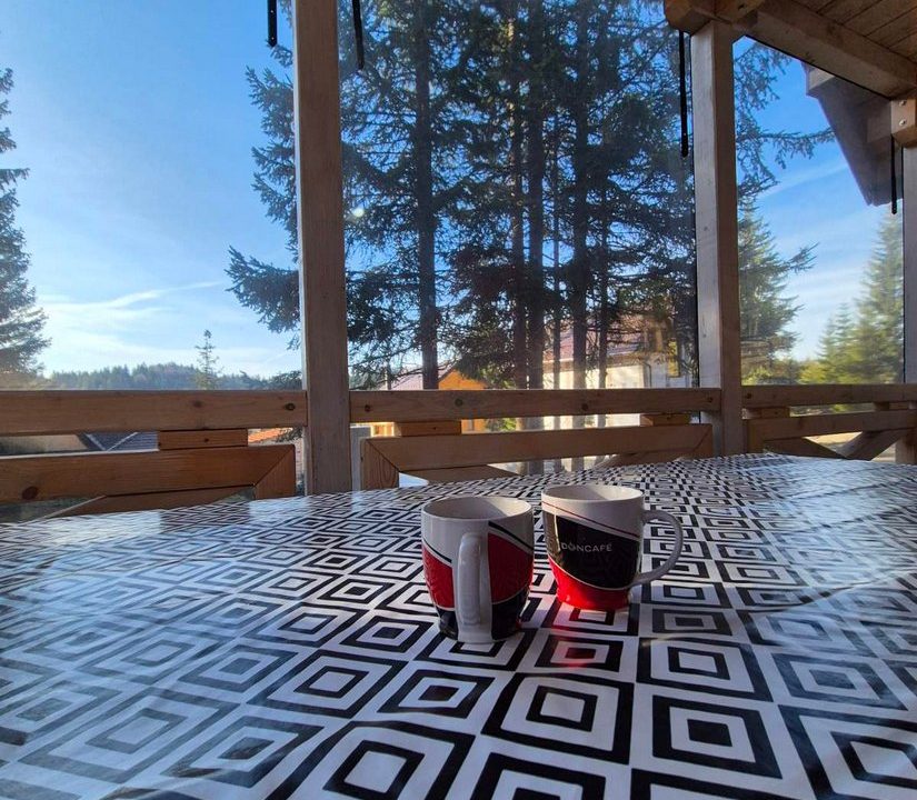 brvnara-marinkovic-tara-smeštaj-sekulic-9