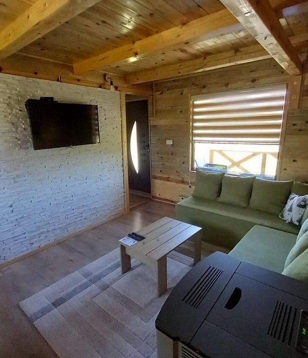 brvnare đokić mokra gora tara smeštaj-19