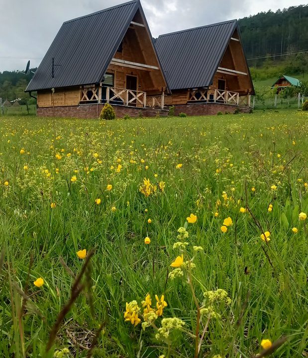 brvnare đokić mokra gora tara smeštaj-8