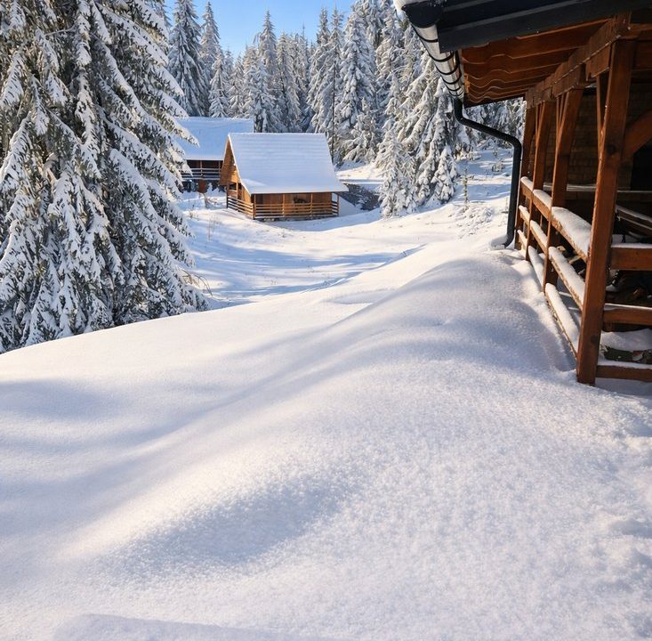 brvnara-tarin-osmeh-smeštaj-tara-sekulić-6