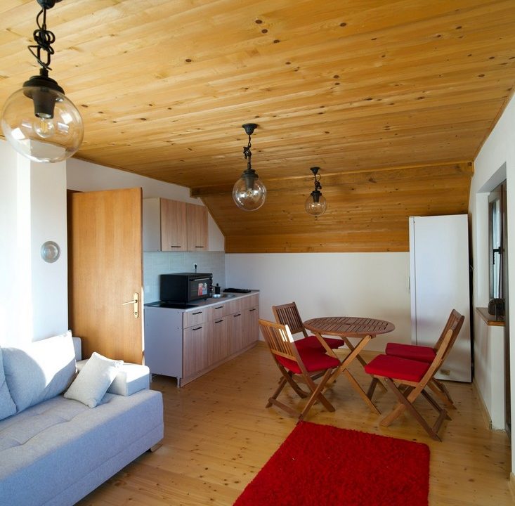 čar šume vikendica mokra gora tara smeštaj -17