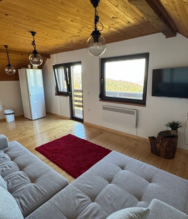 čar šume vikendica mokra gora tara smeštaj -18