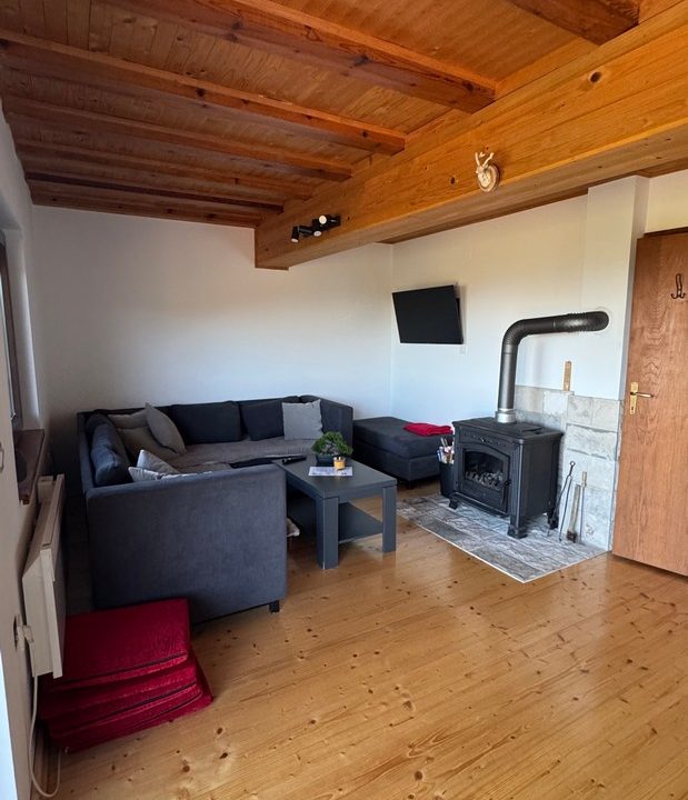 čar šume vikendica mokra gora tara smeštaj -19