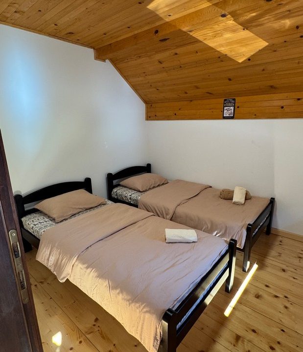 čar šume vikendica mokra gora tara smeštaj -20