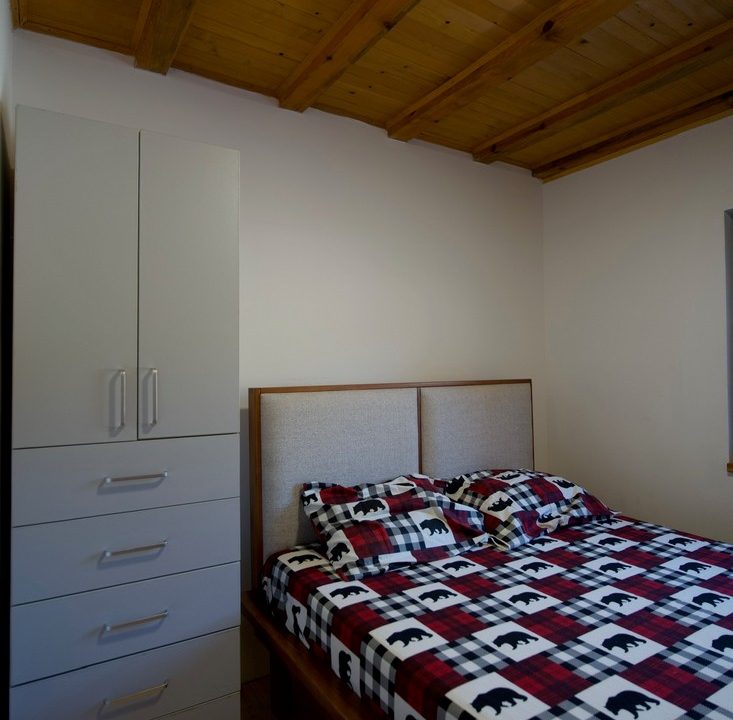 čar šume vikendica mokra gora tara smeštaj -21