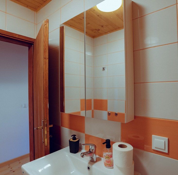 čar šume vikendica mokra gora tara smeštaj -24