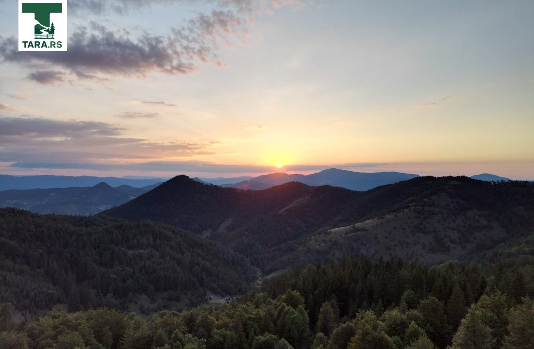 čar šume vikendica mokra gora tara smeštaj -26