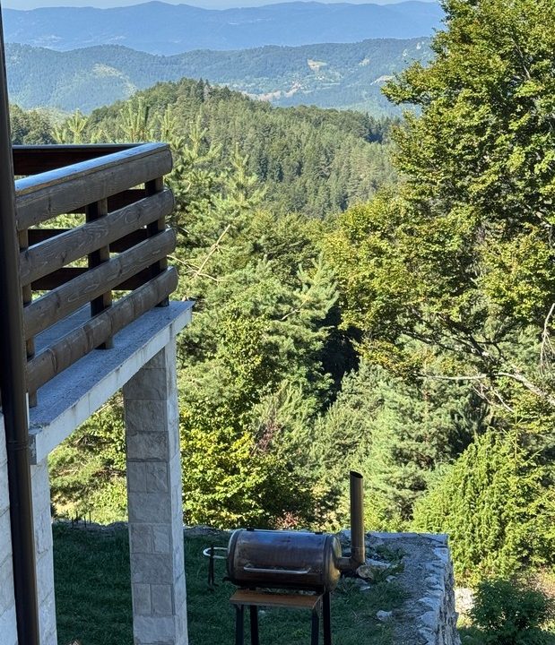 čar šume vikendica mokra gora tara smeštaj -27