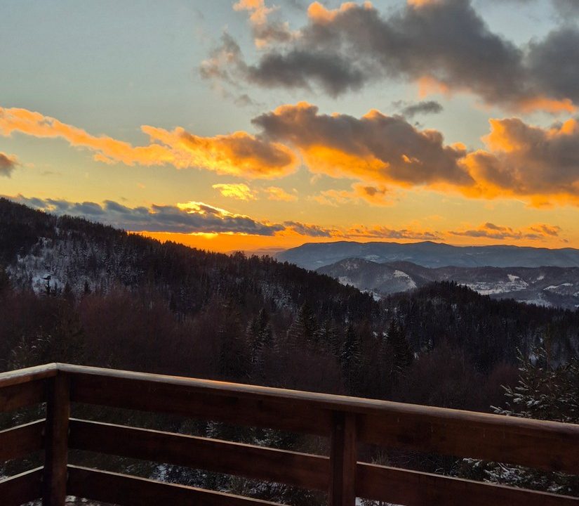 čar šume vikendica mokra gora tara smeštaj -29