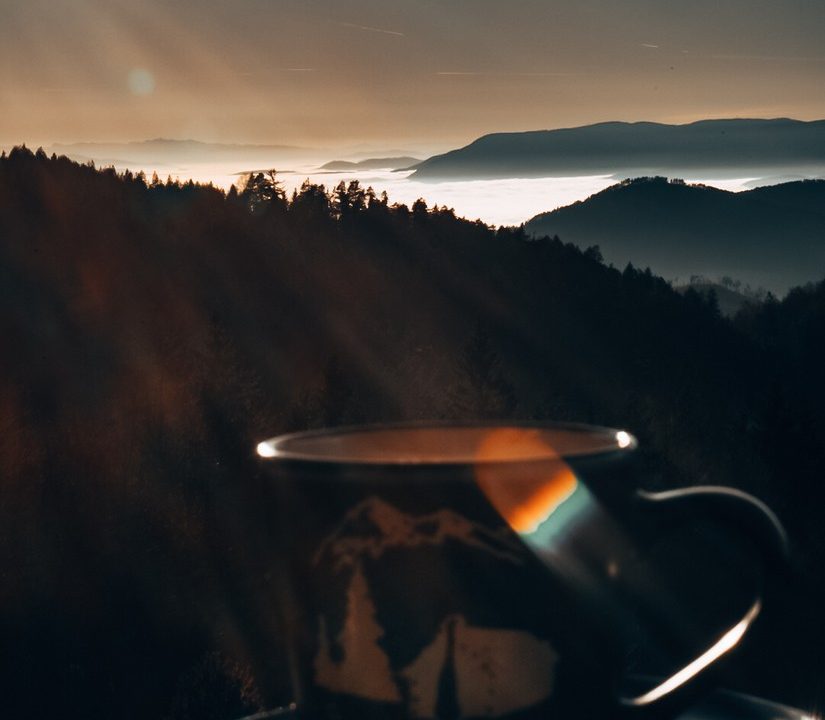 čar šume vikendica mokra gora tara smeštaj -30