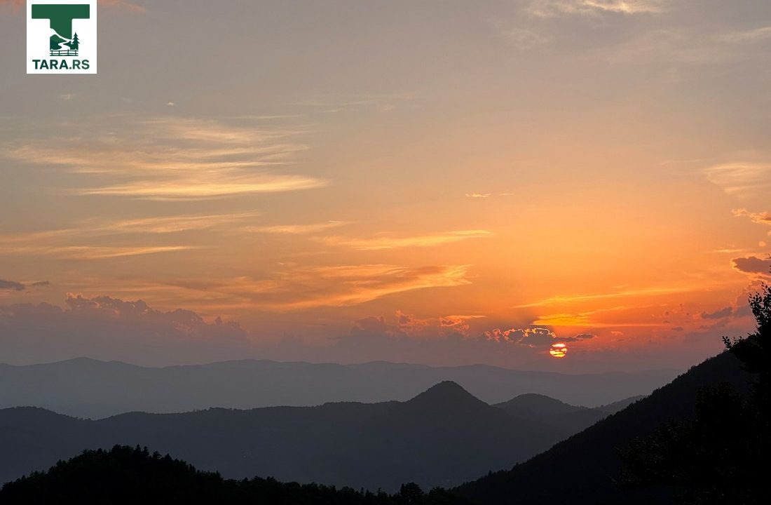 čar šume vikendica mokra gora tara smeštaj -31